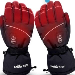 Heated Electric Gloves